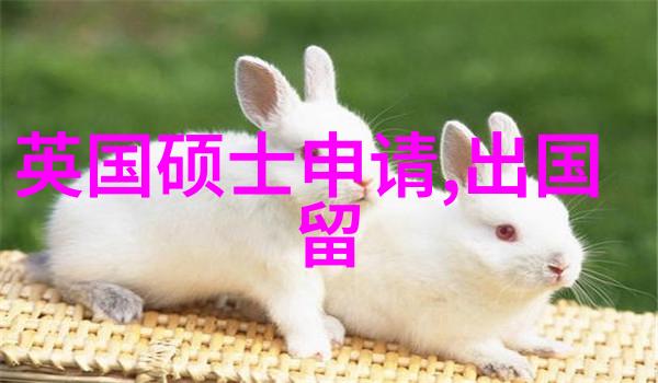 澳大利亚国立大学2025入学硕士项目学分减免政策