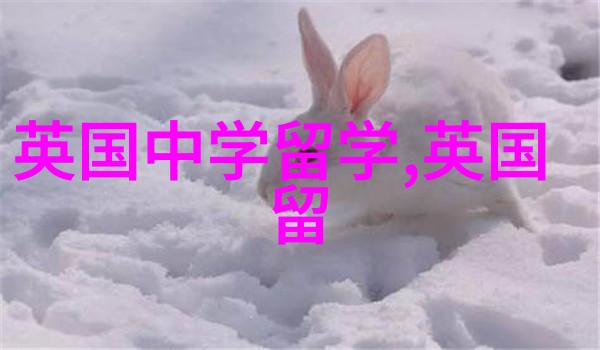 论对英国留学的重要性