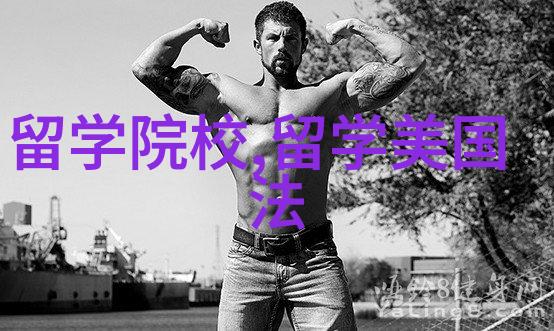 早申请策略如何在美国留学申请中占据先机