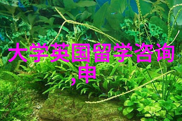 重磅英国博士PSW签证延长至3年毕业后可留英3年本硕也有新利好