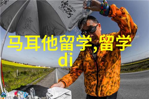 2011年评分细则公布 成绩共分9个等级