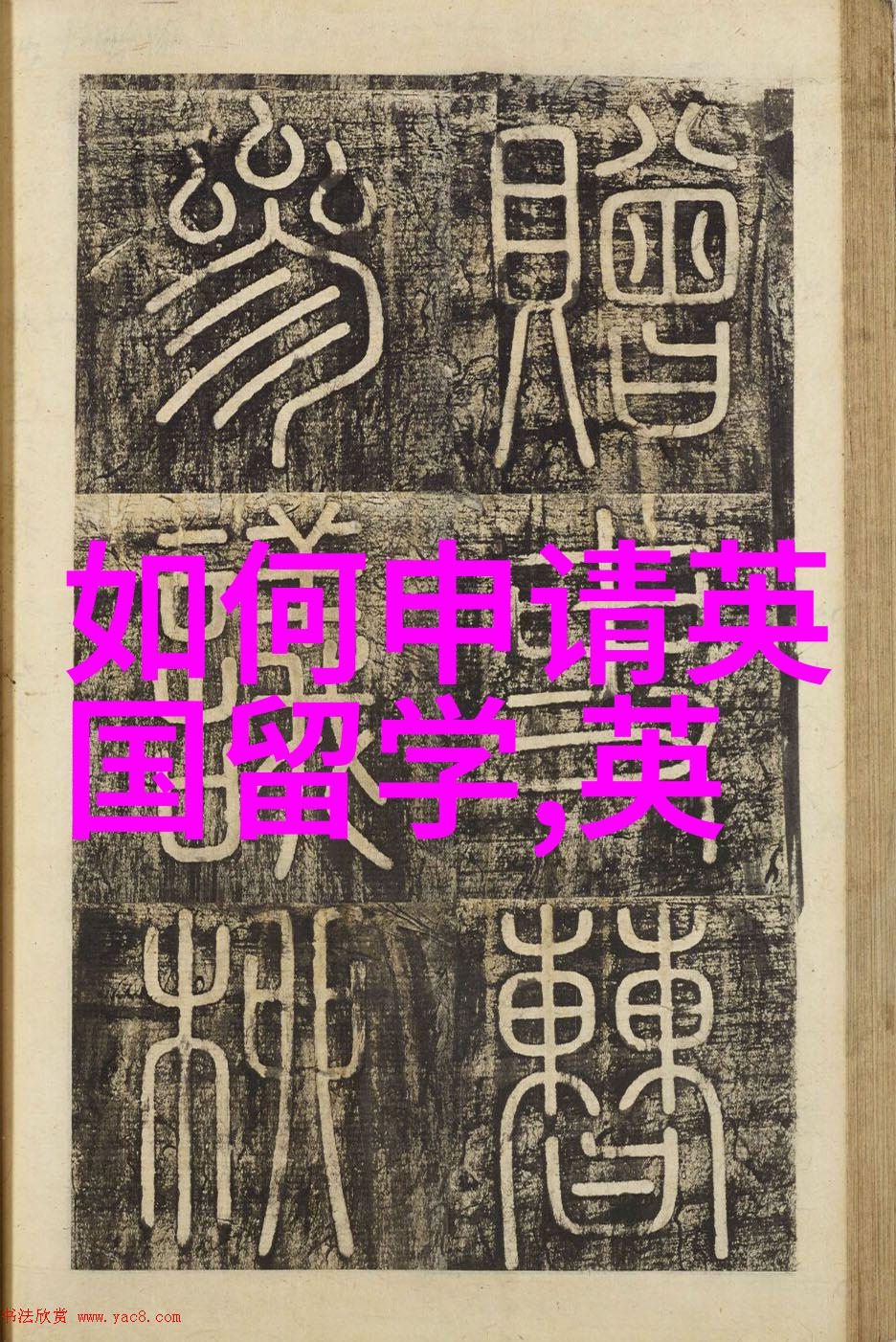 萨里大学商学院课程调整信息