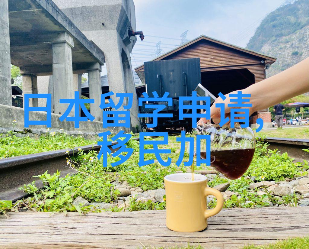 大龄学生适合澳洲留学吗